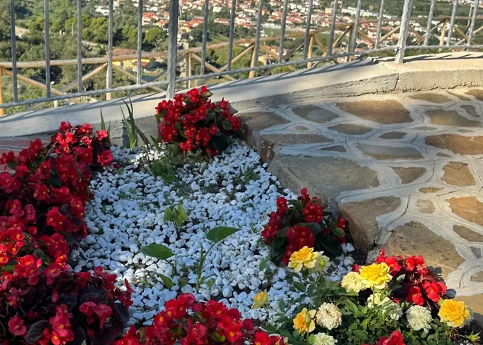 בית הארחה Casa Iris קסטלבאטה